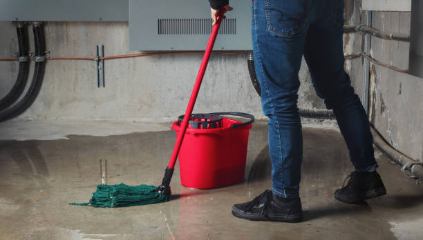 Best Carpet water damage restoration  in Hill N Dale, FL