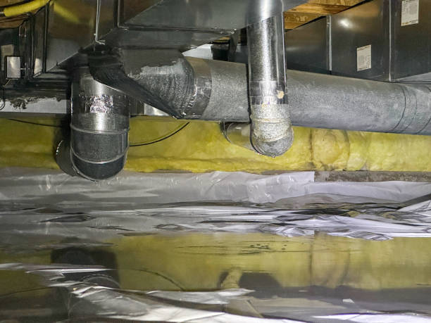 Best Water damage restoration near me  in Hill N Dale, FL