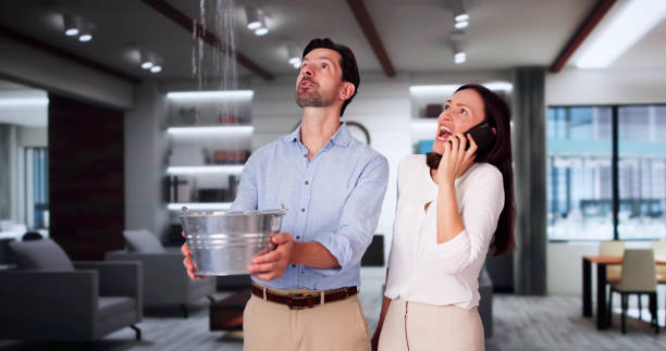 Best Local water damage restoration  in Hill N Dale, FL